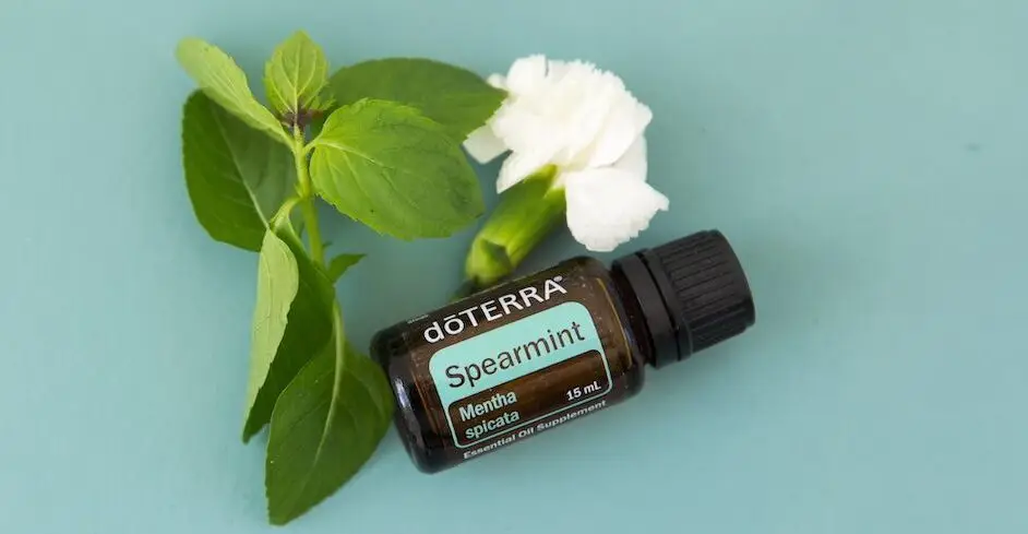 Esencialne oleje Spearmint