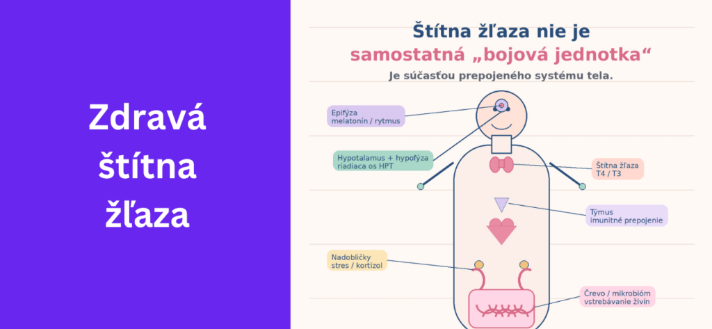Ebook Zdravá štítna žľava | Esencialne oleje online
